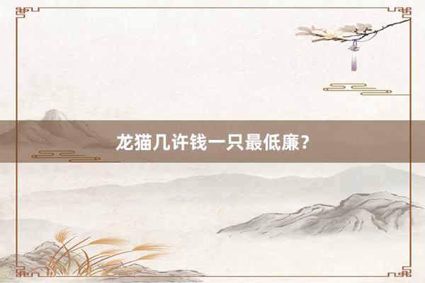 龙猫几许钱一只最低廉？