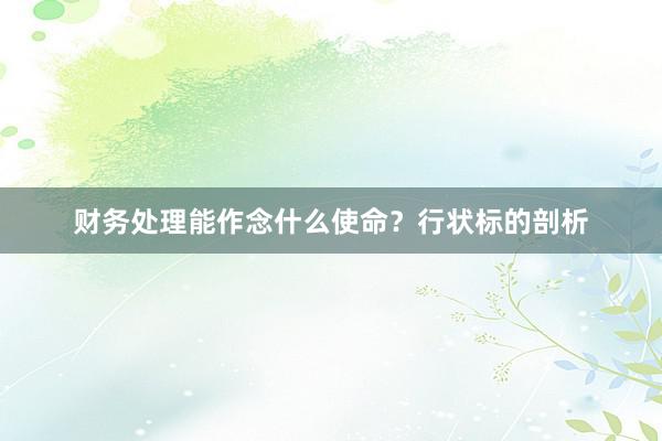 财务处理能作念什么使命？行状标的剖析